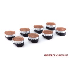 Weistec Forged Pistons M113K