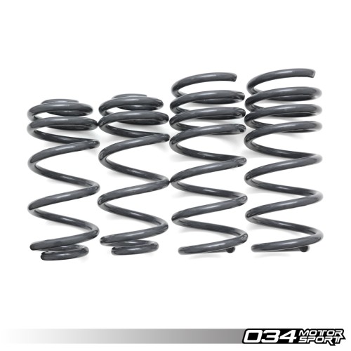 034 Motorsport Dynamic+ Springs