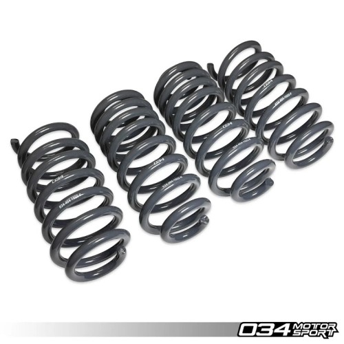 034 Motorsport Dynamic+ Lowering Springs