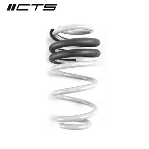 CTS Turbo B8/B8.5 A4/S4 Lowering Spring Set