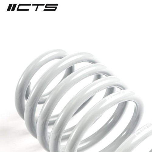 CTS Turbo B8/B8.5 A4/S4 Lowering Spring Set
