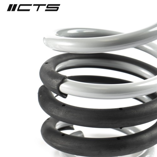 CTS Turbo B8/B8.5 A4/S4 Lowering Spring Set