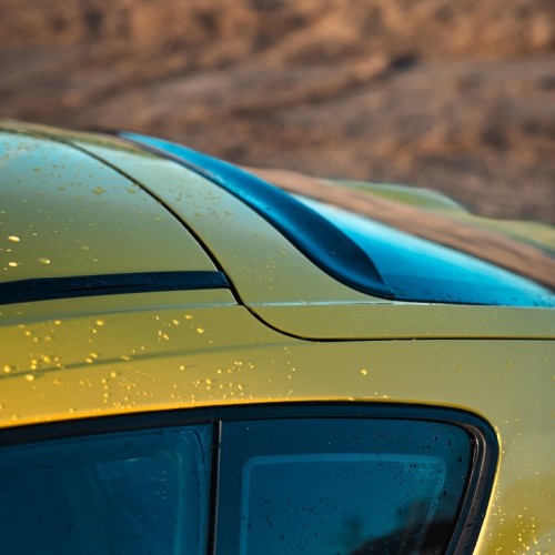 Rennline Carbon Fiber Roof Spoiler